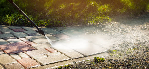 Best Solar Panel Cleaning  in Tarboro, NC